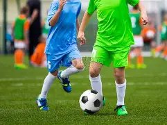 本菲卡夺冠,加冕葡超王,末轮以,V体育,VSports,V体育官网,V体育官网,V体育下载,V体育APP