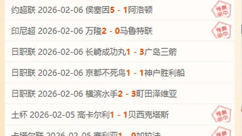 大坂直美因伤退赛奥克兰赛事决赛，错失夺冠良机