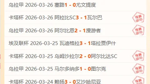 【每日胜利传奇再现！揭秘奈梅亨大逆袭：深位让利背后的神奇逻辑】